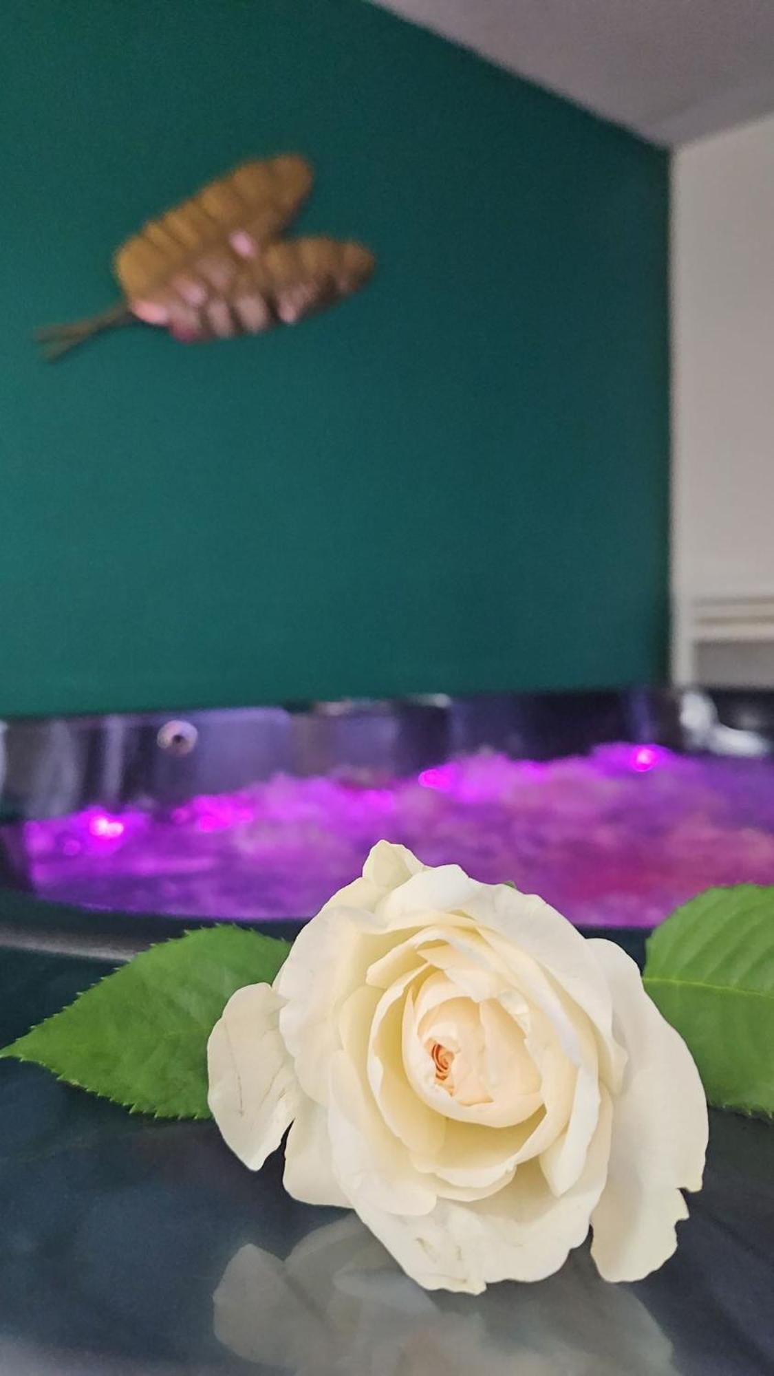 Suite Jacuzzi "Spa Privatif " Appartement Jacuzzi Toulouse Exteriér fotografie